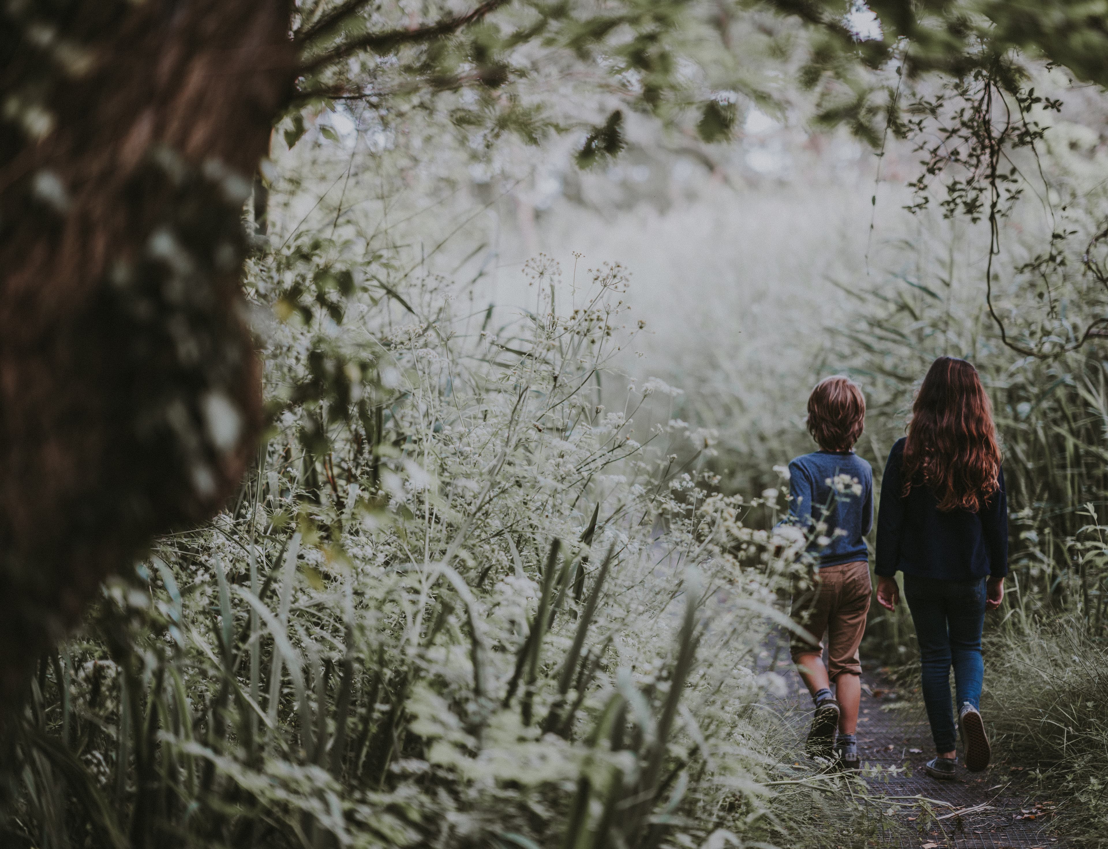 Children walking through a forest